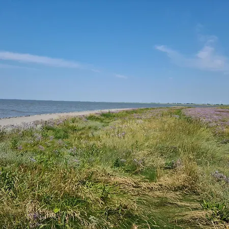 Haus Havglueck - Urlaubsglueck An Der Nordsee 別荘 *