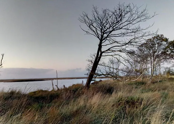 Hébergement de vacances Haus Havglueck - Urlaubsglueck An Der Nordsee Sehestedt (Lower-Saxony)